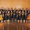 camerata_junior